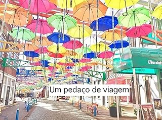 Livro Um pedaço de viagem