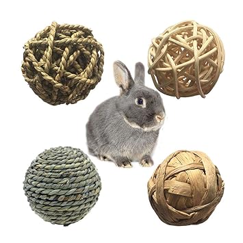 Buy POPETPOP Rabbit Chew Toys-4 Pack 
