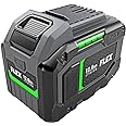 FLEX 24V 12.0Ah Lithium-Ion Battery - FX0231-1