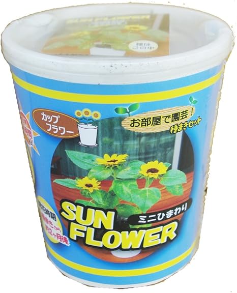 Amazon Co Jp フォレスト カップフラワー ミニヒマワリ お部屋で園芸 種まきセット 栽培キット Diy 工具 ガーデン