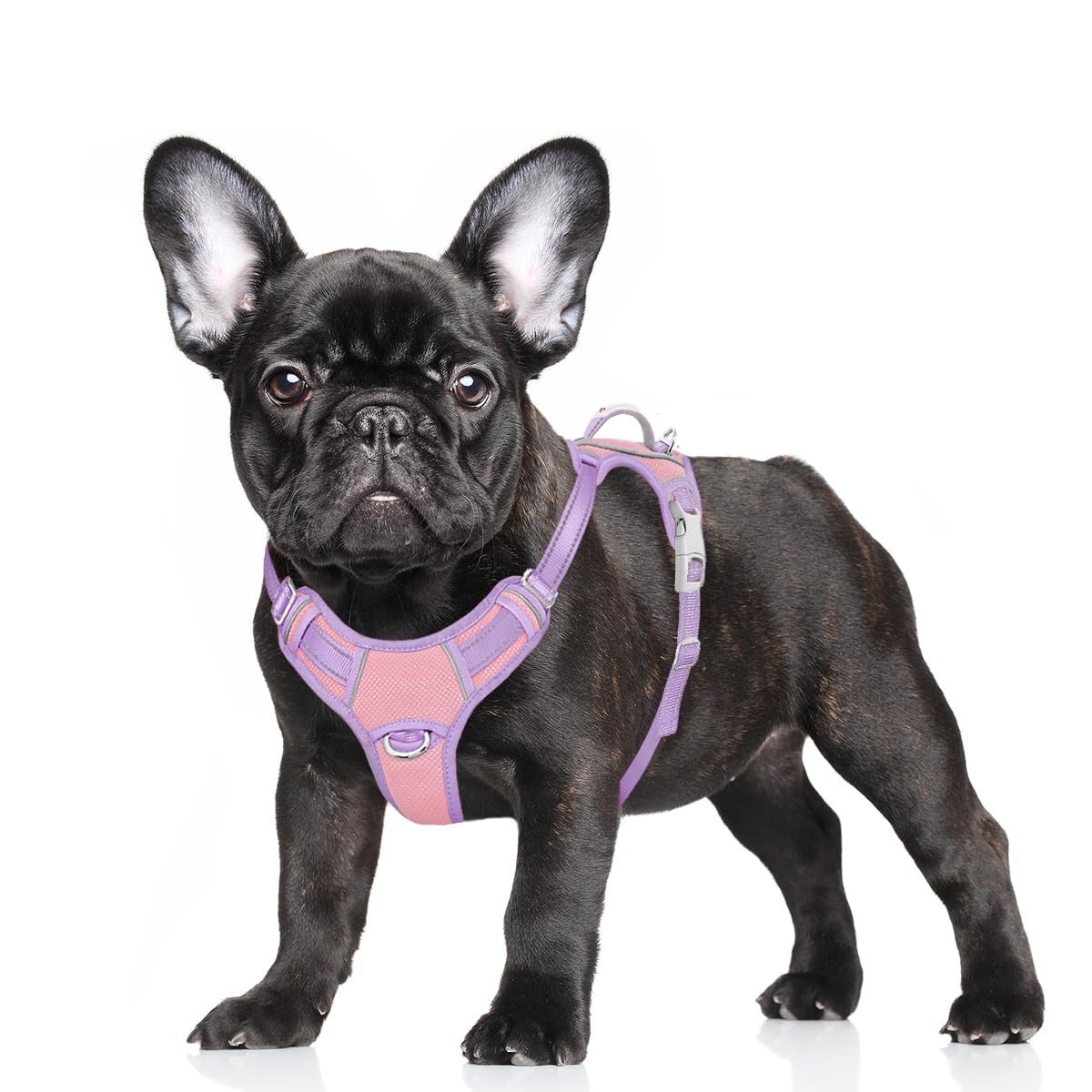 BARKBAY No Pull Dog Harness Large Reflective Dog Harness with Front Clip and Easy Control Handle for Walking Training Running with ID tag Pocket(Baby Pink & Violet Purple,S) Image