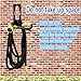 Garden Hose 50 ft - Expandable Water Hose - 8 Functions Durable Zinc Alloy Spray Nozzle For Car, Garden, Lawn, Pet Shower, Plant Watering Hose