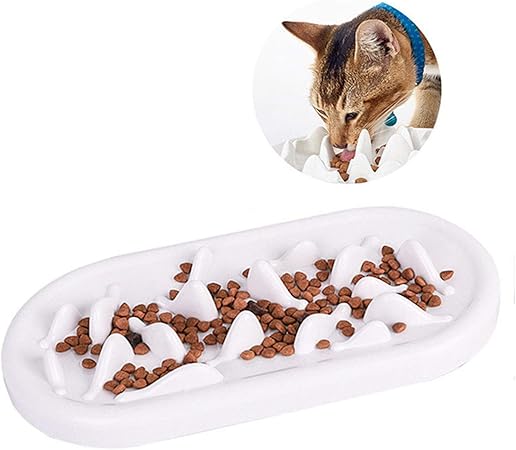 no bowl cat feeder amazon