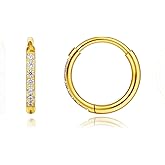 Limerencia Titanium Hoop Earrings for Women,G23 Implant Grade Pure Titanium Lightweight Hoop Earrings for Women Men Sensitive Ears