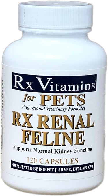 grooming your goldendoodle