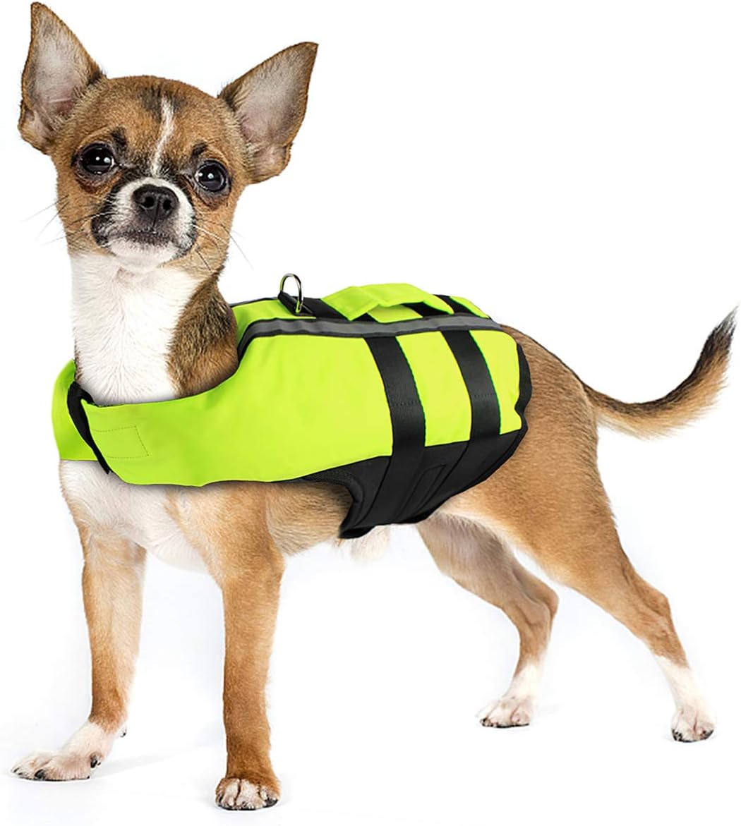 dog safety jacket