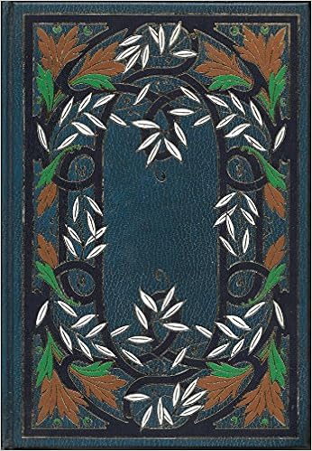 couverture de : Bel-Ami