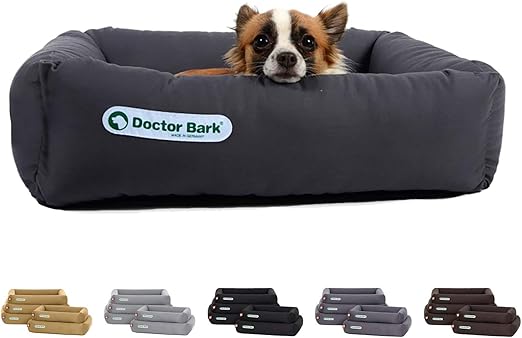 dog orthopedic doctor