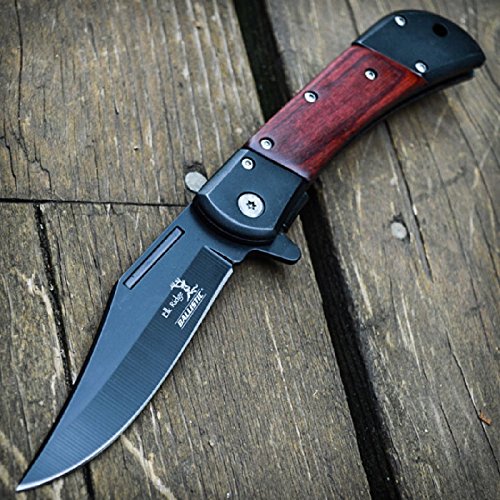 Best Selling Top Best 5 hunting pocket knife spring assisted from Amazon (2017 Review) Product