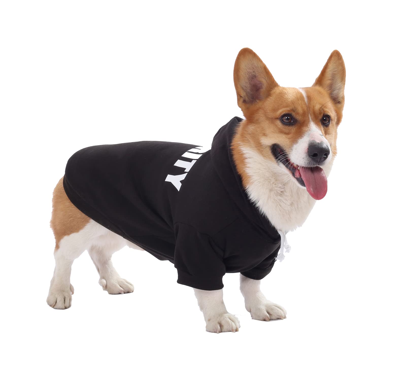 Dog Hoodie,Fashion Soft Cotton Pet Hoodie Hooded Clothes Warm Autumn Winter Coat T-Shirt Costume Apparel for Cats Puppy Small Dogs (Small, Black)