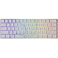 MONSGEEK FUN60 MAX Rapid Trigger Gaming Keyboard 8k SP Magnetic Switch HE Keyboard Multi-Modes Wireless 60% Nebula White, Glare Magnetic Switch