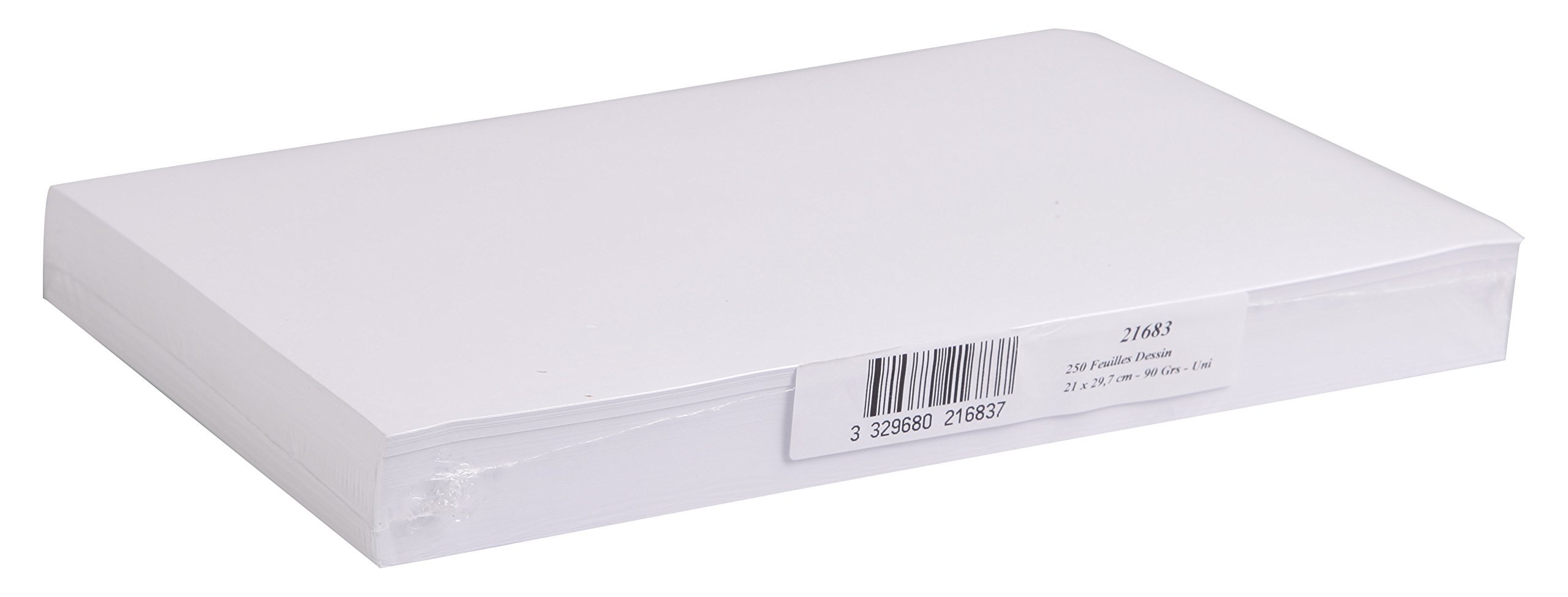 Clairefontaine - Ref 93734C - White Grained Drawing Paper (Pack 10 Sheets) - 75 x 110cm Sized, 224gsm Paper, White & Grained Drawing Paper, Acid Free, pH Neutral