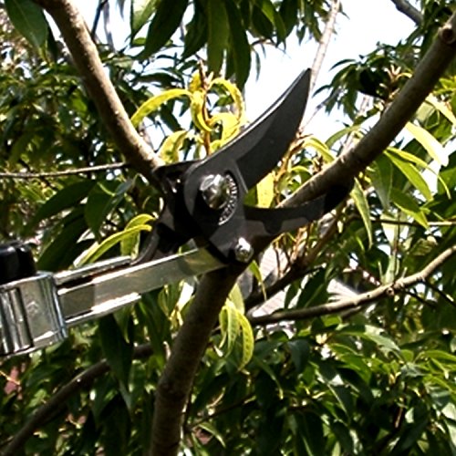 ARS Long Reach Pruners ARS LA180ZR203