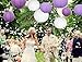 Sonnis Paper Lanterns 12