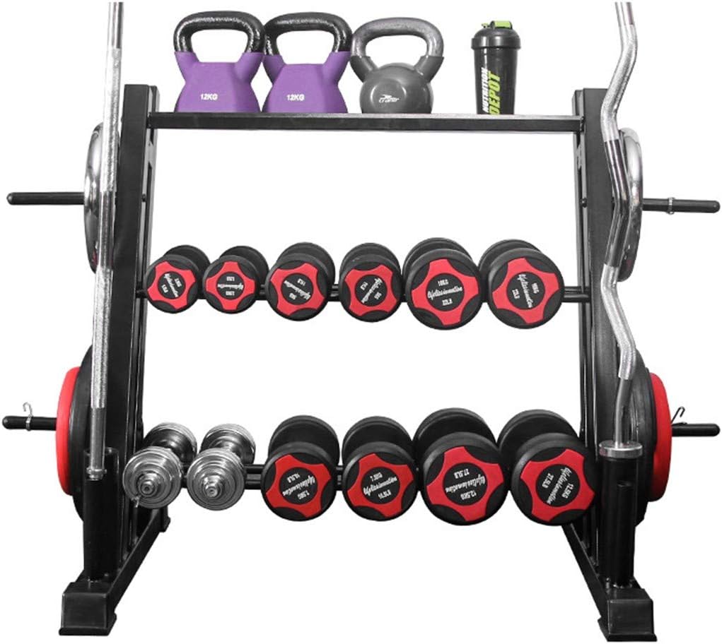 Delarsy Dumbbell Weight Rack Storage Stand Home Workout Gym Sports Strength Training Dumbbell Racks (Large) : Sports & Outdoors
