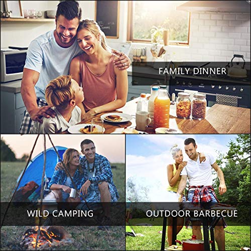 Giantex-2-Burner-Outdoor-Camping-Stove-High-Pressure-Burner-Stand-150000-BTU-with-0-20-PSI-Adjustable-Regulator-Outdoor-Camping-Picnic-Stove-Black