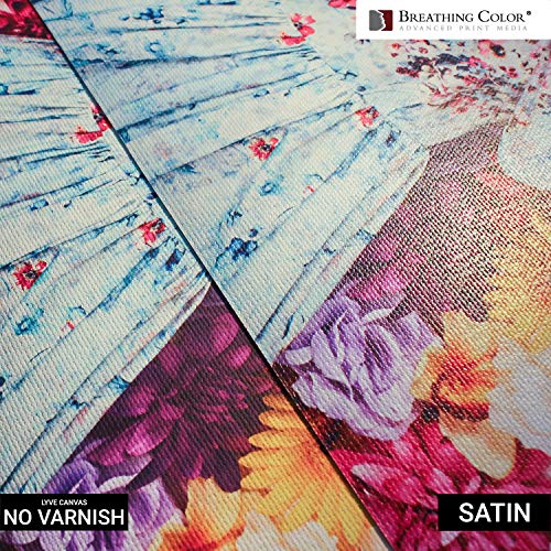 Timeless Archival Print Varnish - 1 Quart, Satin Finish, Highest Quality Canvas Coating, Water Based UV Protection, 100+ Years Certified Archival