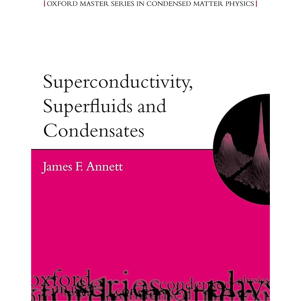 Amazon.com: Theory Of Quantum Liquids: Superfluid Bose Liquids