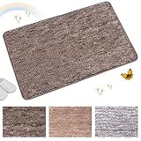 Indoor Doormat Front Door Mat Non Slip Rubber Backing Super Absorbent Mud and Snow Magic Inside Dirts Trapper Mats Entrance Door Rug Shoes Scraper Machine Washable Rug Carpet - 24" x 36" (Coffee)