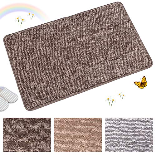 Indoor Doormat Front Door Mat Non Slip Rubber Backing Super Absorbent Mud and Snow Magic Inside Dirts Trapper Mats Entrance Door Rug Shoes Scraper Machine Washable Rug Carpet - 24" x 36" (Coffee)