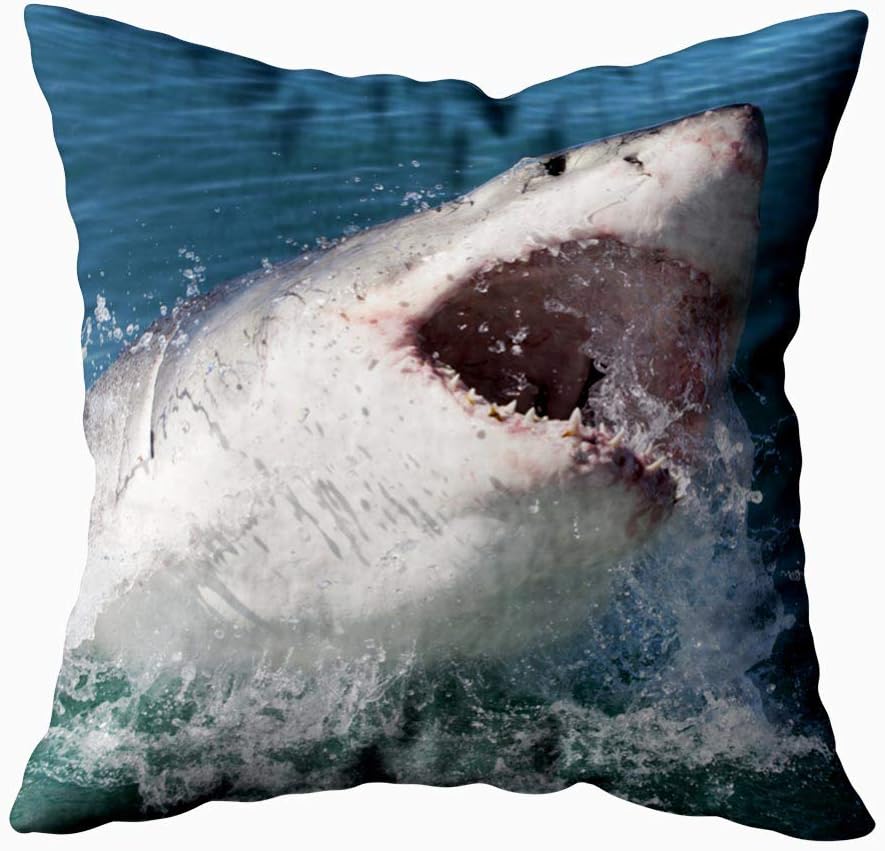 KIOAO 20X20 Pillow Case, Standard 20X20Inch Soft Square Throw Pillowcase Covers Fall Pillow Cover Great White Shark South Africa Printed with Both Sides,Halloween