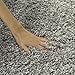 SAFAVIEH California Shag Collection Area Rug - 4' Round, Silver, Non-Shedding & Easy Care, 2-inch Thick Ideal for High Traffic Areas in Living Room, Bedroom (SG151-7575)