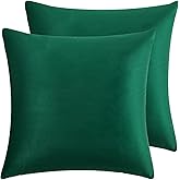 RainRoad Dark Green Throw Pillows Covers Set of 2 Soft Velvet Decorative Pillow Covers 20x20 Inch for Couch Bed (Dark Green, 20" x 20"(Pack of 2))