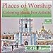 Places of Worship Coloring Book for Adults 2: For Relaxation and Stress-Relief (A Colouring Book with International Places of Worship from Europe and ... Churches, Cathedrals and Temples) (Volume 2) by C RH Barron