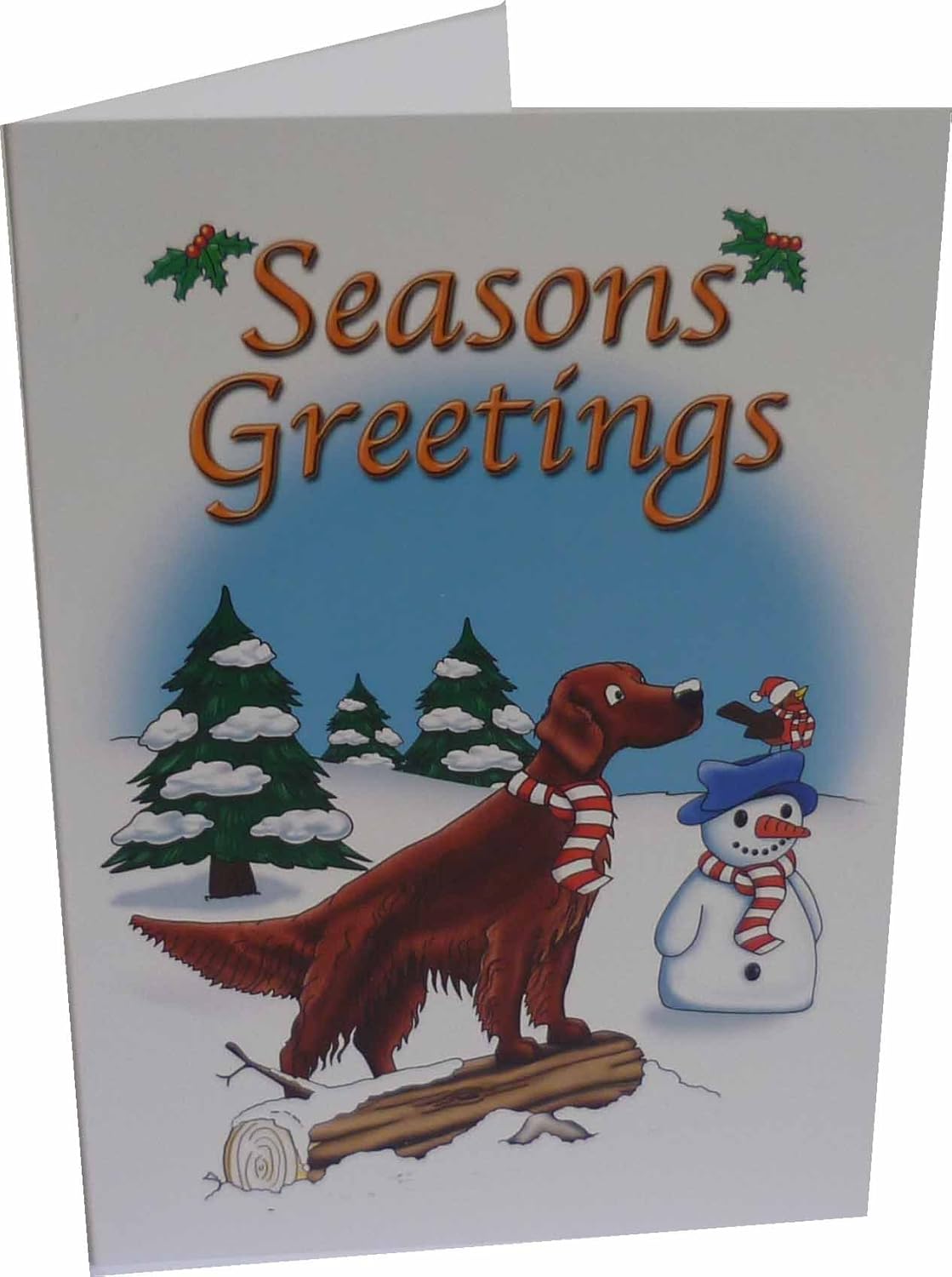 Irish Setter Christmas cards (10 cards) Amazon.co.uk Office Products