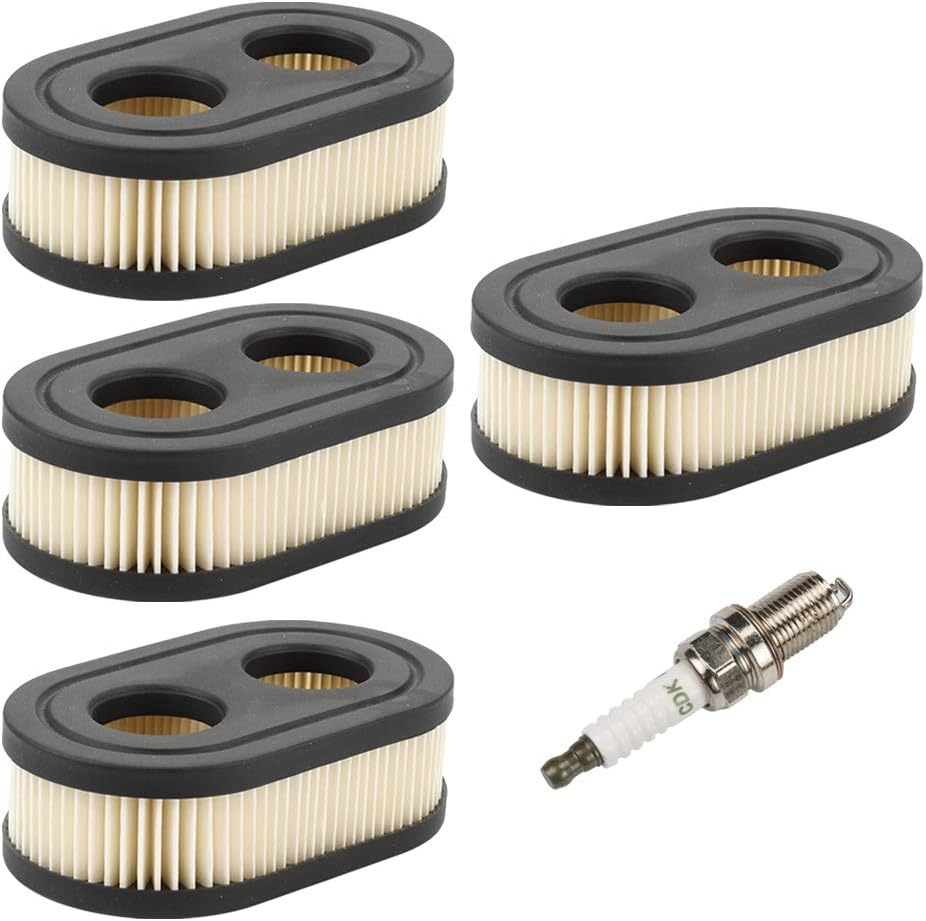 Best lawn mower small engines