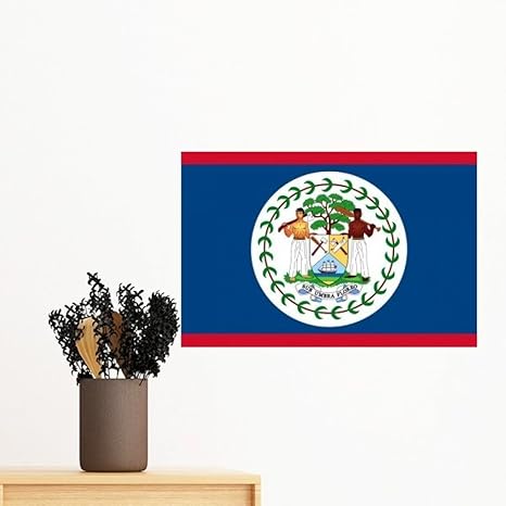 Amazon ベリーズ国旗の北アメリカ 国シンボルマークパターンの取り外し可能な壁芸術移し絵ステッカー壁画部屋移し絵のための壁紙 ウォールステッカー オンライン通販