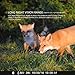 Trail Camera, Bestguarder Waterproof IP66 Game Camera Life Sercurty Wildlife Digital Camera With 12 MP 1080P HD Time Lapse 65ft 60° Wide Angle Infrared Night Vision 36pcs IR LEDs 2.0