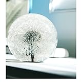 COREFLEX Real Dandelion Paperweight, Dandelion in