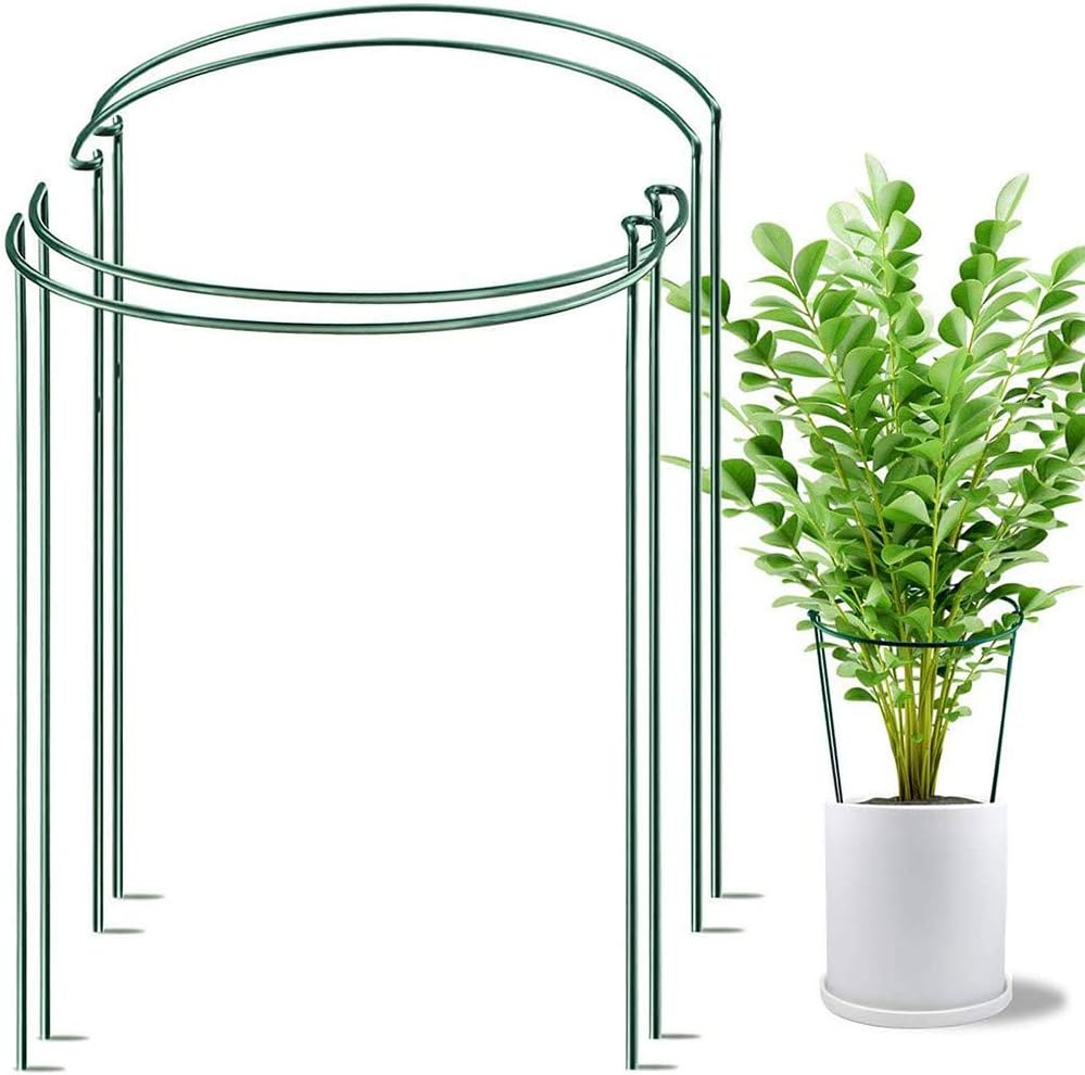 Plant Support Stakes, Half Round Metal Garden