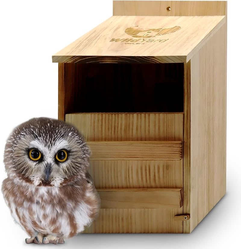 WildYard Cedar Owl Box Nest Box with Camera Slot Easy Hang Clean Access