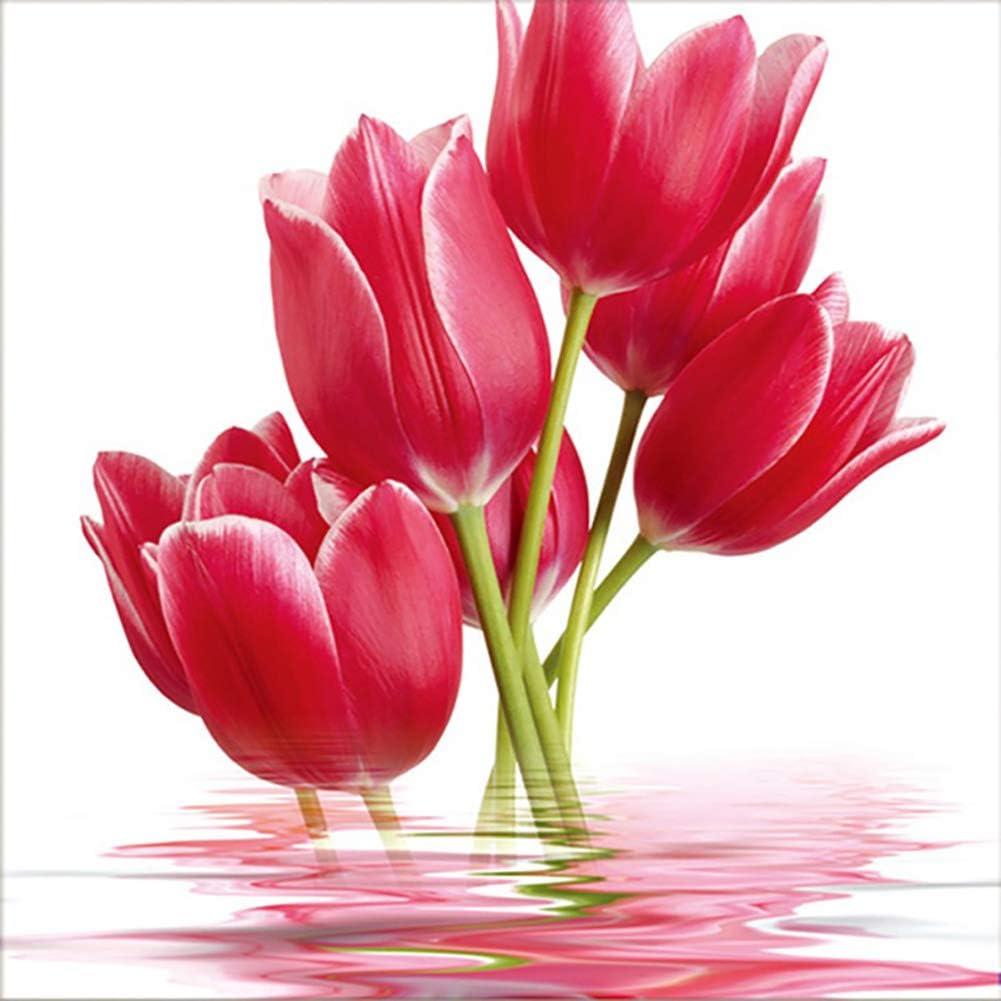 JULAN 5d Diamond Painting Kits for Adults Kids, Red Tulip Flower Full Drill Rhinestone Embroidery Pictures for Home Wall Decor