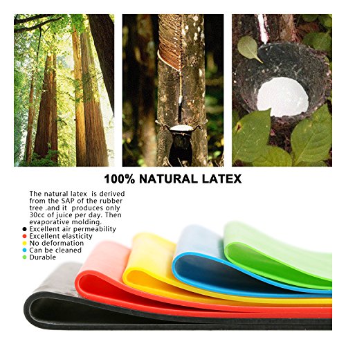 Scotamalone Exercise Bands Resistance Loop Bands Workout Bands Fitness Bands Stretch Bands Physical  - //coolthings.us