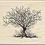 Inkadinkado Timbro In Legno Mounted Stamp: Albero D'Autunno (Fall Tree) 7,6x7,6 Cm - 2
