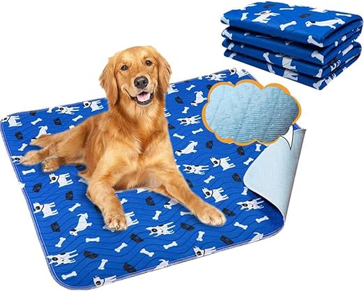 puppy stopped peeing on pads