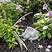 Besti Decorative Outdoor Dragon Garden Statue - Cold Cast Ceramic Statue | Lawn and Yard Decoration | Weather-Resistant Finish