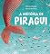 Livro A história de piragui