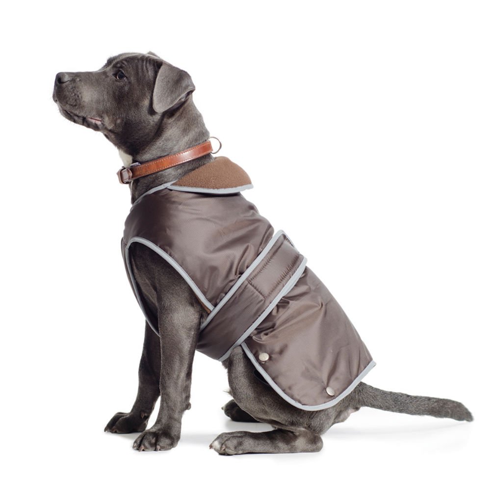 Ancol Muddy Paws Stormguard Coat Chocolate Small ( Length 30cm/ to fit girth 44-56cm) โ image 1