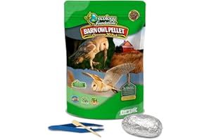 OBDK Barn Owl Pellets for Dissection - 20 Pack Medium Sized (1.5"-2.0") with Tools, Guide and Charts from Owl Brand Discovery