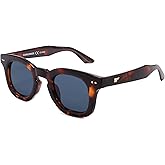 VANLINKER Retro Small Chunky Square Polarized Sunglasses for Men Women Retro Thick Shades VL9881