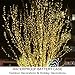 Bright Zeal 33' Long LED Warm White Christmas String Lights White Wire Battery Operated - Outdoor Warm White LED String Lights Battery Powered with Timer Silver Wire - Warm White Fairy Lights Battery