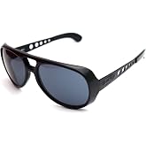 Black Flys Sunglasses King Fly (Shiny Black w/Smoke Lens)