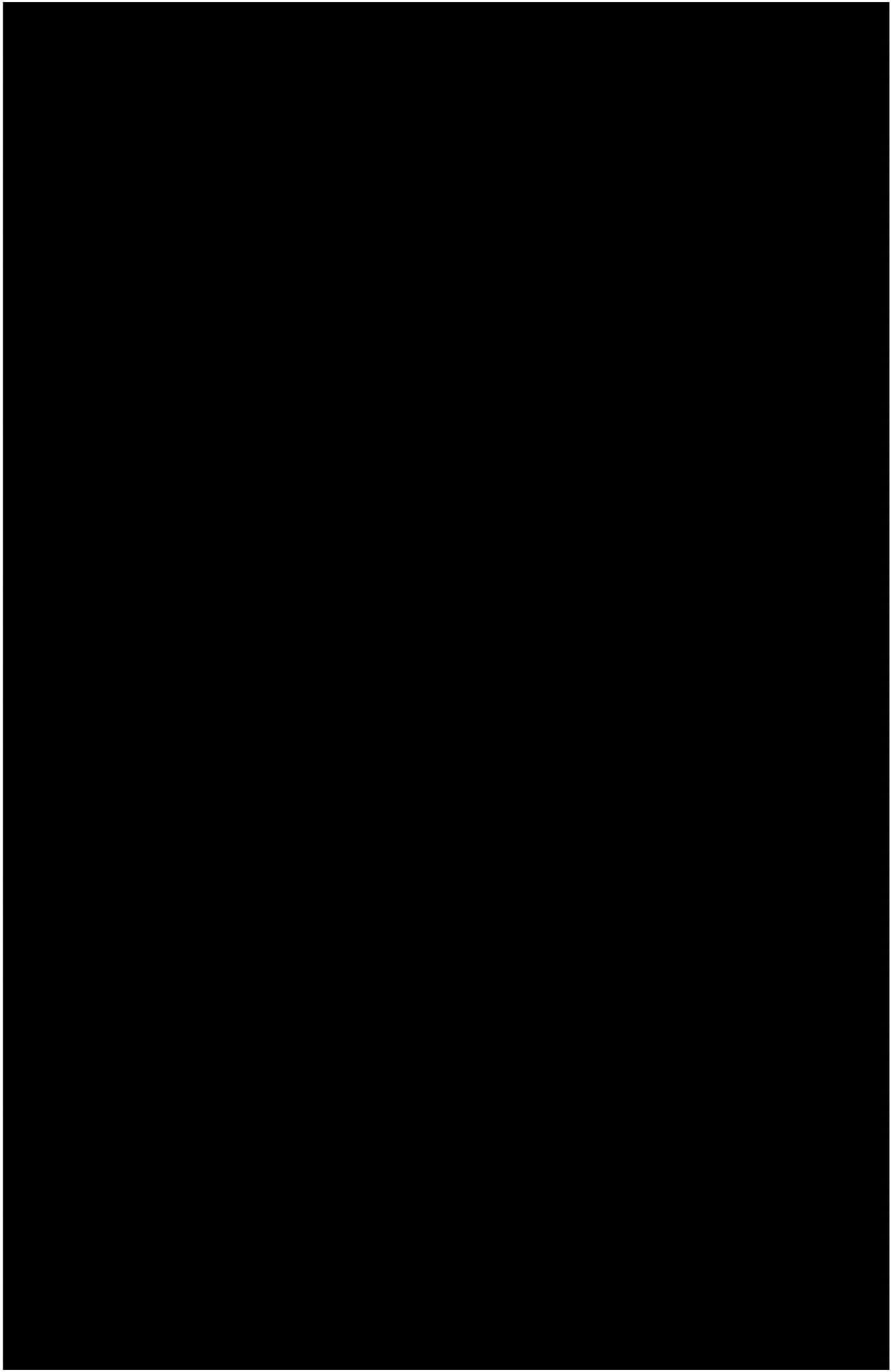 Plastic Art Sheets 11X17 Black 8 CT