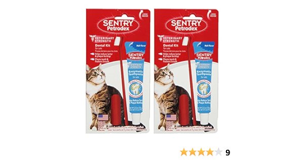 petrodex cat toothpaste