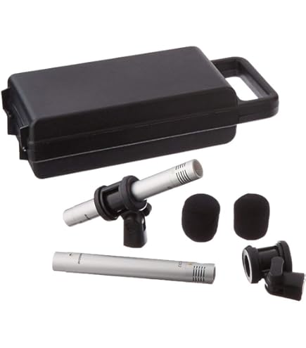 Amazon.com: AUDIX SCX25A-PS Large-Diaphragm Condenser Piano