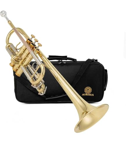 Amazon.com: JTR700 Trumpet : Musical Instruments